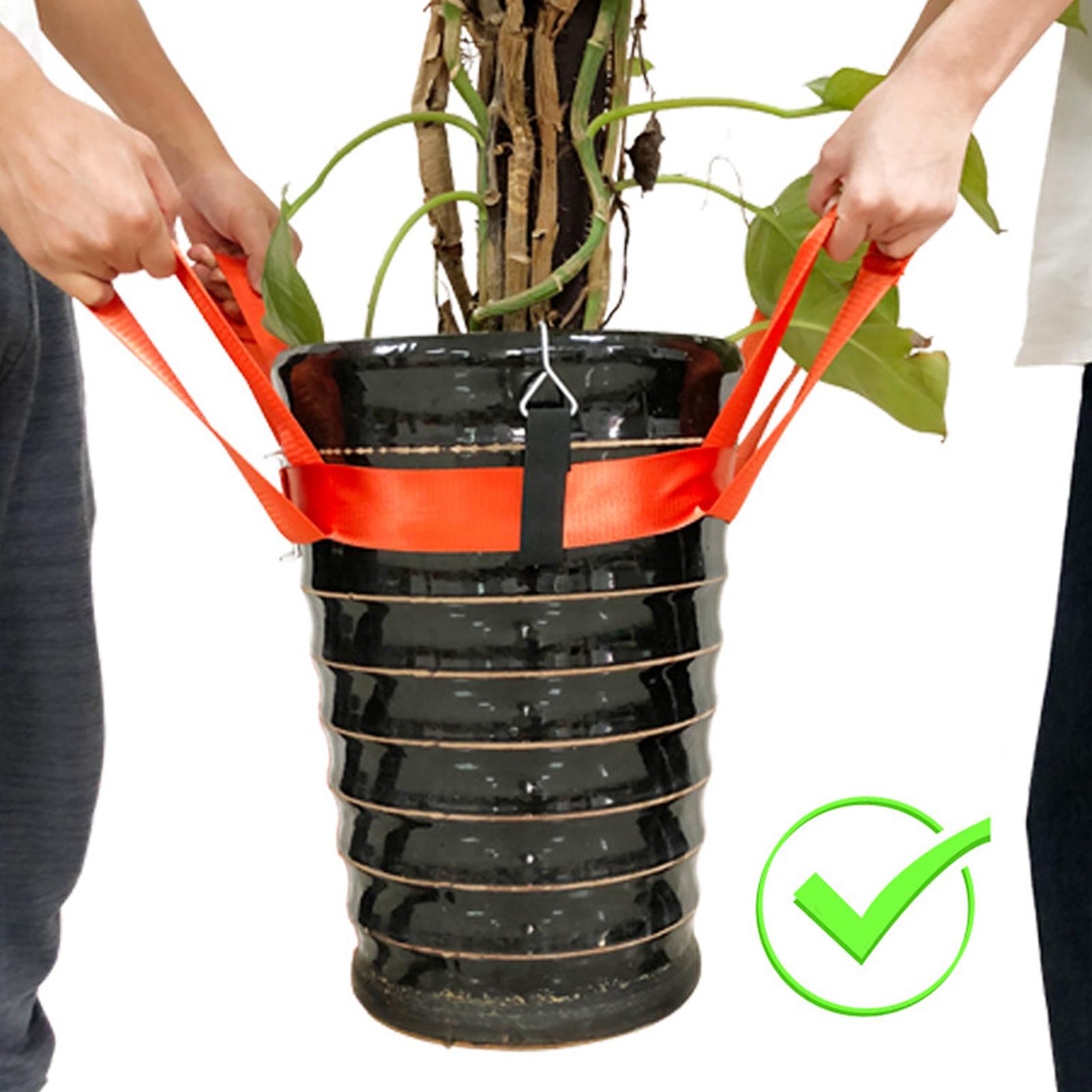 Landscaping Lifting Strap Pott - огляд і ціна Lifting Belt